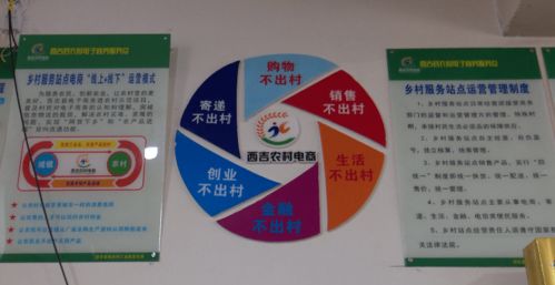 電子商務讓西吉農(nóng)副產(chǎn)品搭上互聯(lián)網(wǎng) 快車